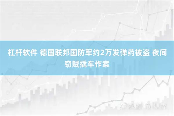 杠杆软件 德国联邦国防军约2万发弹药被盗 夜间窃贼撬车作案