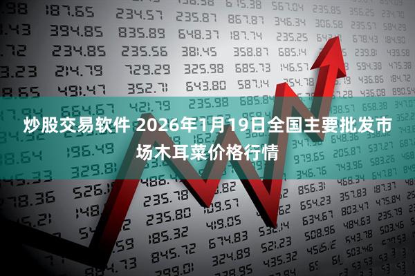 炒股交易软件 2026年1月19日全国主要批发市场木耳菜价格行情