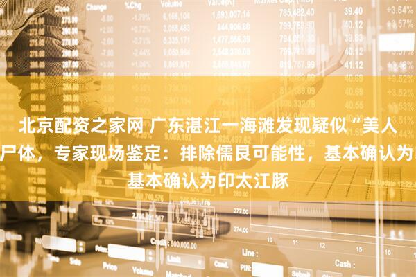 北京配资之家网 广东湛江一海滩发现疑似“美人鱼”儒艮尸体，专家现场鉴定：排除儒艮可能性，基本确认为印太江豚